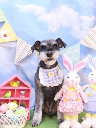 20240323ドンくん